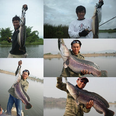 รวมรูปเหยื่อทำเองใช้ได้ดีเลยทีเดียว