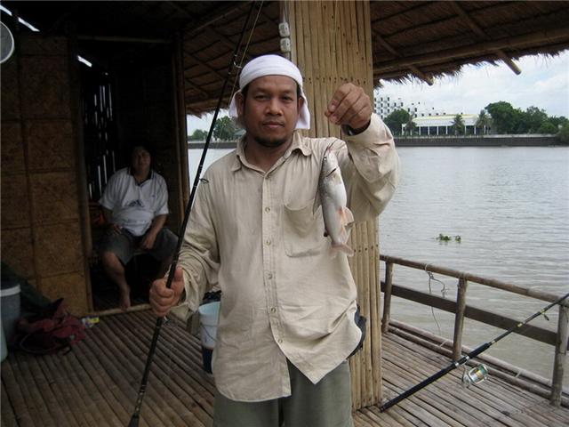 กระเบนแม่น้ำบางปะกง (แพลุงป็อก)
