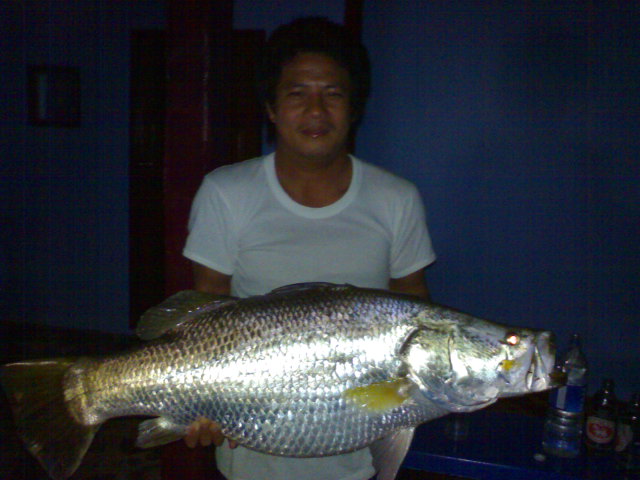 ทวดกระพง