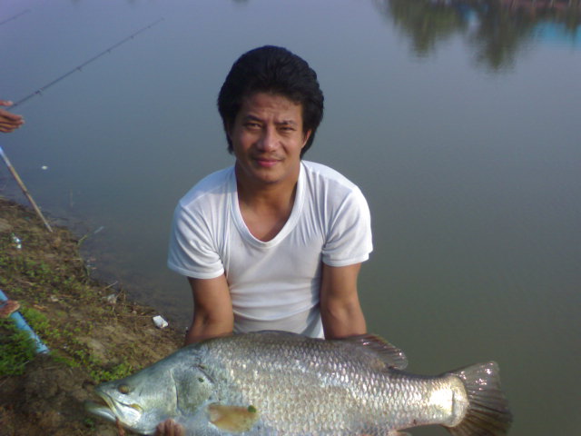 ทวดกระพง