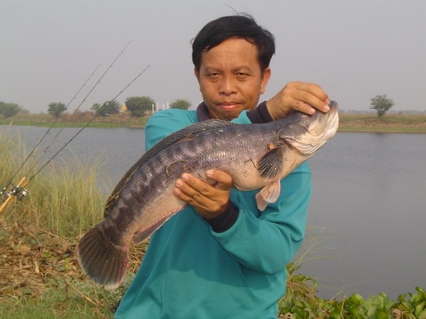 ทริปนี้ที่...หนองเบิกไพร