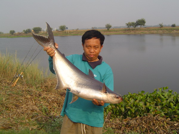 ทริปนี้ที่...หนองเบิกไพร
