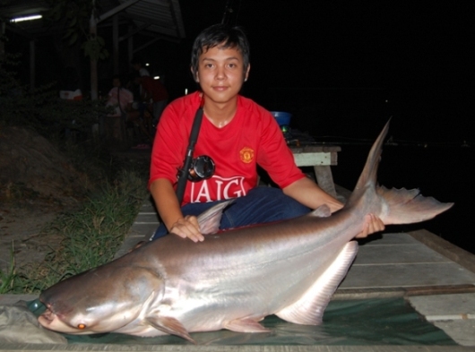 คืนวันอาทิตย์ที่เงาน้ำ