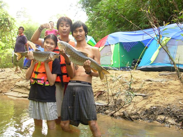 ต้นน้ำหลังสวนชุมพร กับปลาพลวงชวนอ้วก