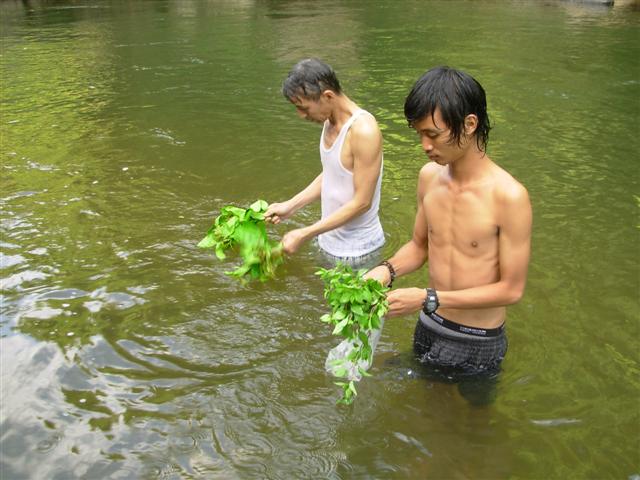 ต้นน้ำหลังสวนชุมพร กับปลาพลวงชวนอ้วก
