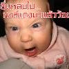 ภาพเก่า  เจ้าปลาน้อยแห่งมาบฟักทอง