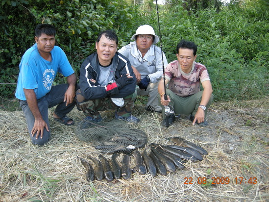 แค่ขำ..ขำกับน้องช่อนวังกุ้ง