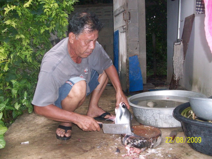 เมื่อลูกอยากกินปลา....,