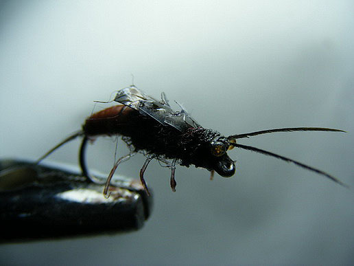 Fly tying. :Realistic Stone Fly