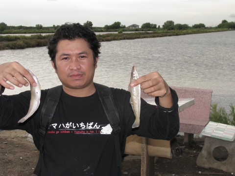 หมายเด็ดเห็ดโคนยักษ์