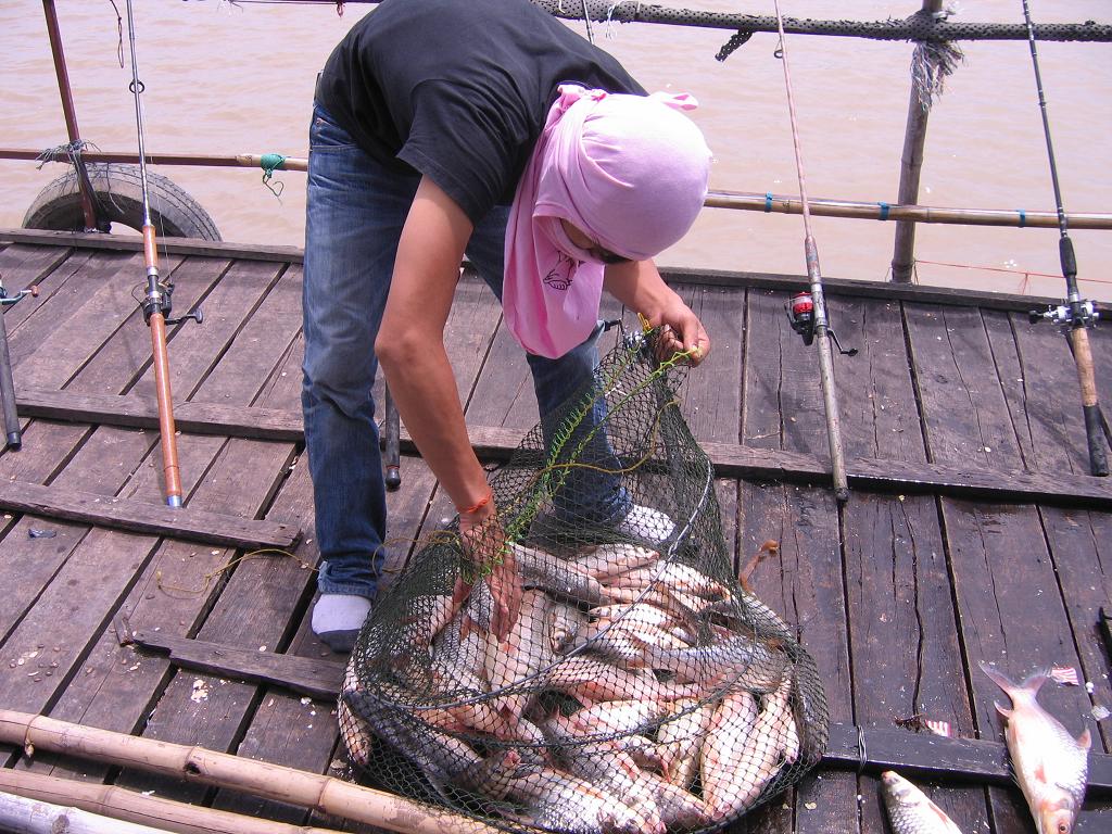 เจ้าพระยาบางไทรไปแพไหนก็สู้แพนี้ไม่ได้(ไม่กินแห้ว)