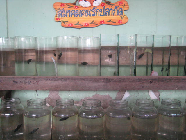 หน้าบ้านยันหลังบ้านครับ