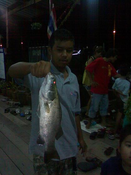 เปิดตัวฉองตัวฮับ