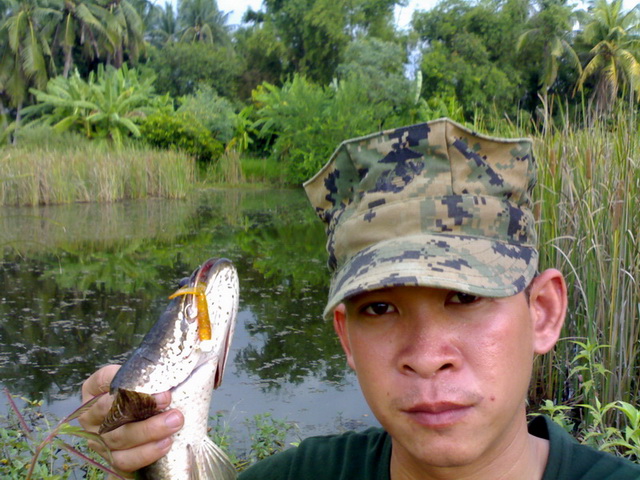 มันมากับฝน