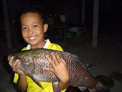 very  BIGggggg................