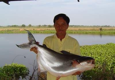 very  BIGggggg................