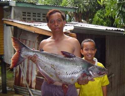 very  BIGggggg................