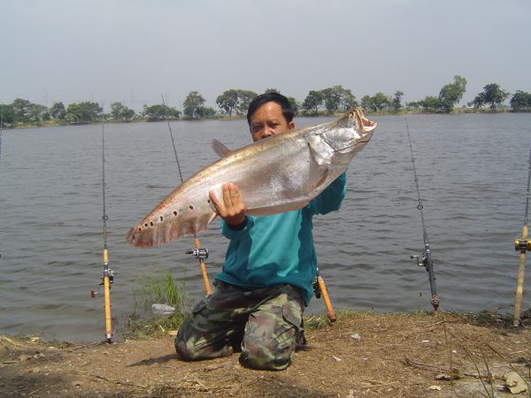 very  BIGggggg................