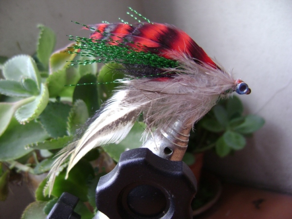 Fly my way