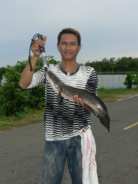 วังกุ้งลุงมานะ อาทิตย์นี้ไม่กินแห้ว