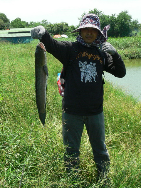 อาทิตย์ว่างก็ไปที่เดิม วังกุ้งลุงมานะ