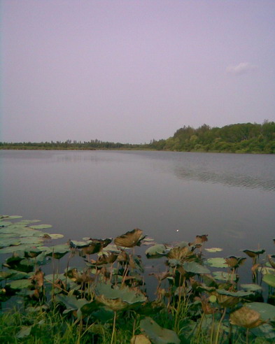 เมื่อหมออนามัยไป Fishing 2
