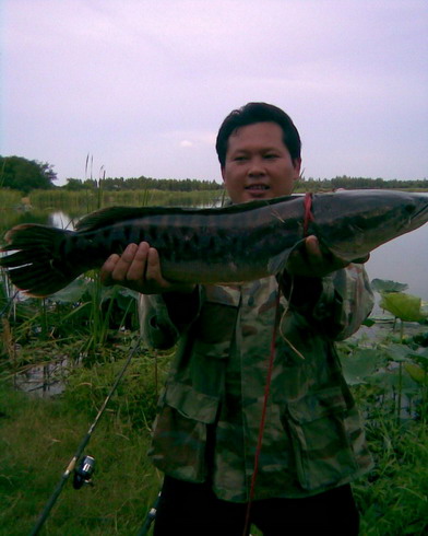 เมื่อหมออนามัยไป Fishing 2