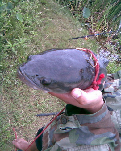 เมื่อหมออนามัยไป Fishing 2