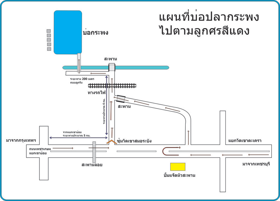 ขอรายละเอียดบ่อปลาด้วยค่ะ