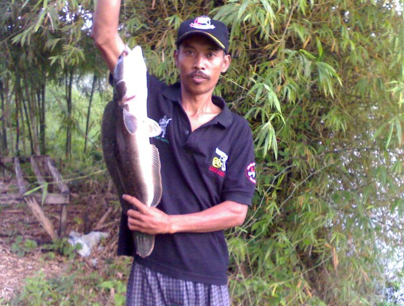 BOYBANG SERIES NO.2