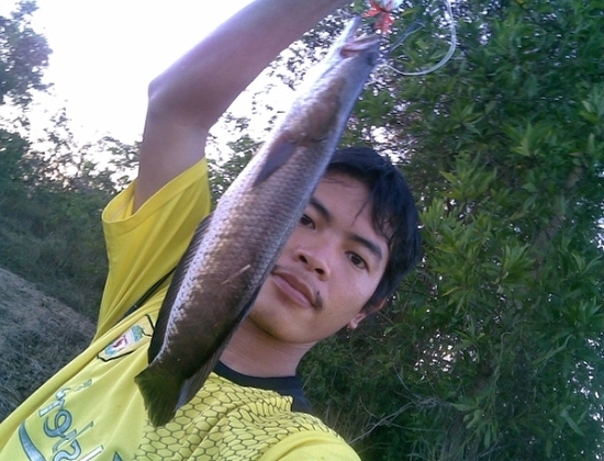 น้าๆ  มากินข้าวกันครับ