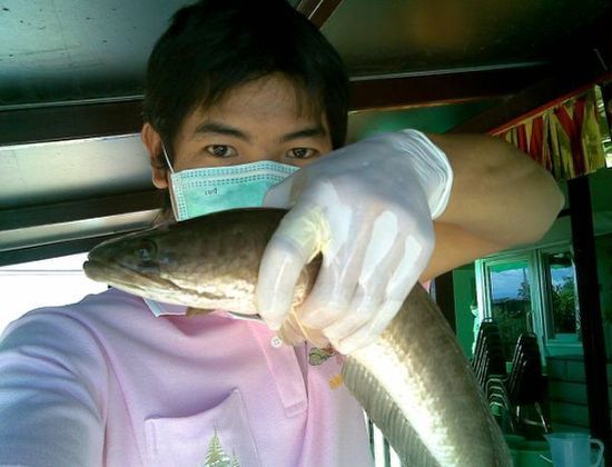 น้าๆ  มากินข้าวกันครับ