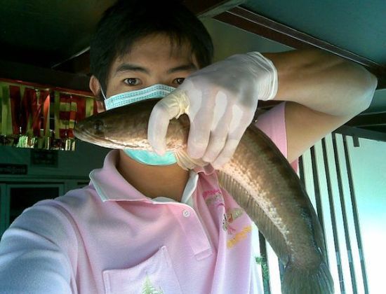 น้าๆ  มากินข้าวกันครับ