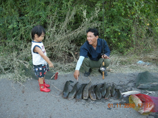 ตกปลาช่อนคลองสวนวังนี้ไม่มีแห้ว 2