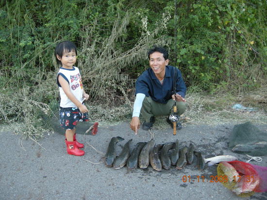 ตกปลาช่อนคลองสวนวังนี้ไม่มีแห้ว 2
