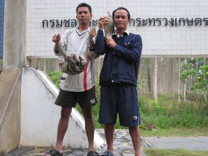 ขอหมายหน้าดิน   เขื่อนสิรินธร  อุบล