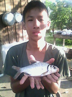 กระมังเมื่อวันเสาร์ที่ผ่านมาที่ปราจีน