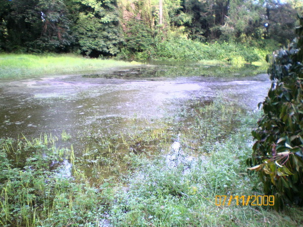 ฝนตกสามวันทำสีได้4ตัว