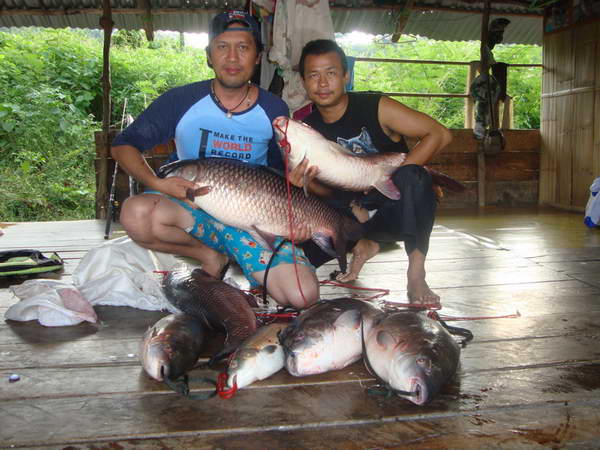 ตกปลาเขื่อนศรีกาญจนบุรีต่อครับ