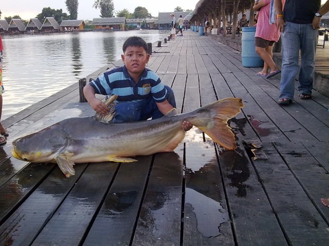บึงสำราญ14/11/09