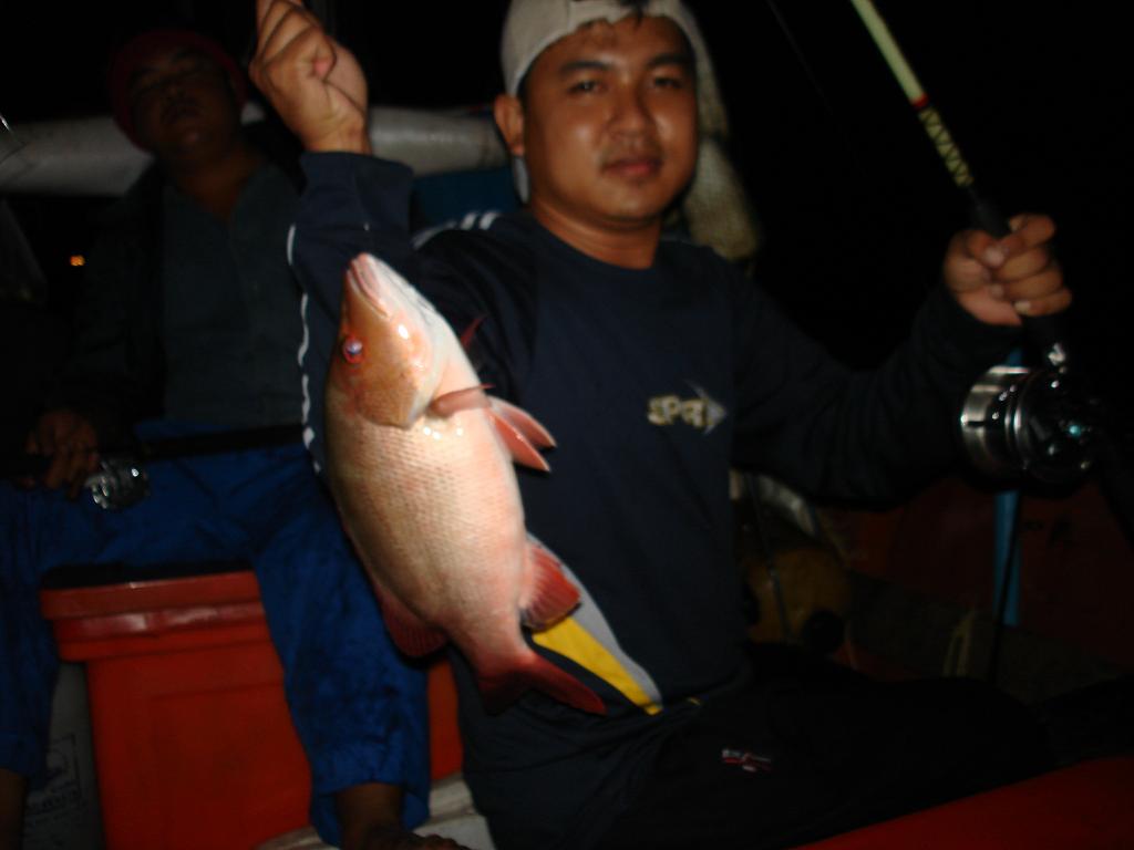 สิงห์ปลาเล็ก..ออกล่าเหยื่อ (ตะกั่วป่า)