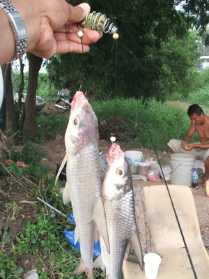 หมายสะพานปรีดีย์อยุธยาอัพเดด 22/11/52