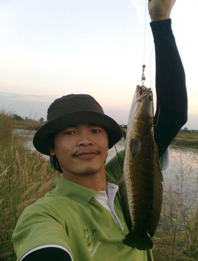 8 ตัว 1 ชม.  หลังเลิกงานครับ