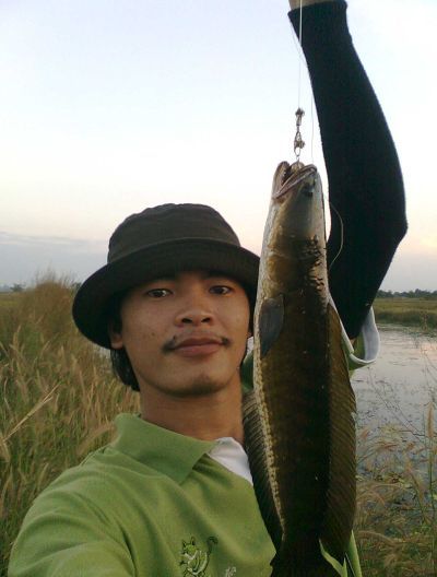 8 ตัว 1 ชม.  หลังเลิกงานครับ