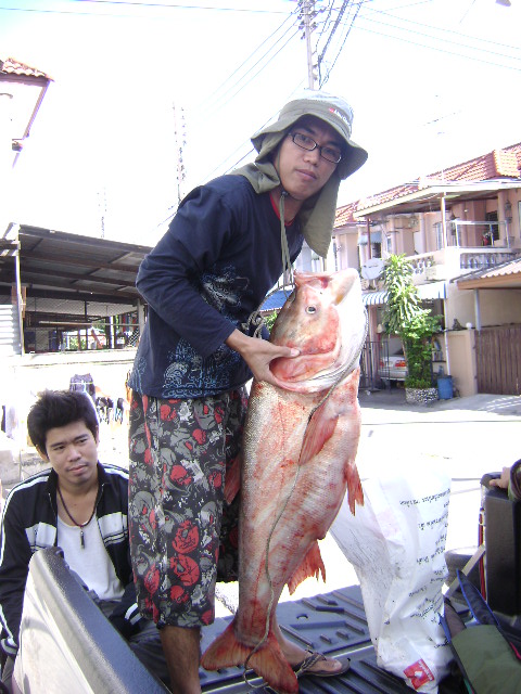 ปลาจีนเจ้าพระยา กับสถติใหม่ของตัวเอง 21.5 kilo