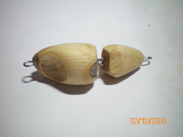 ฉลามดุ๊กดิ๊ก (เมื่อปลาช่อนอยากกินฉลาม)