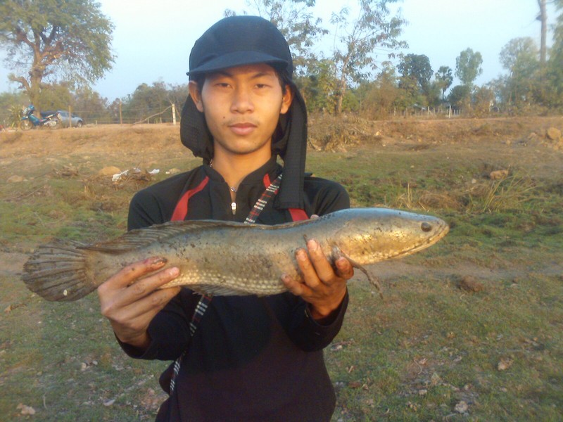 เปิดตัวน้องใหม่ Chadows Fishing Team จ.หนองคาย