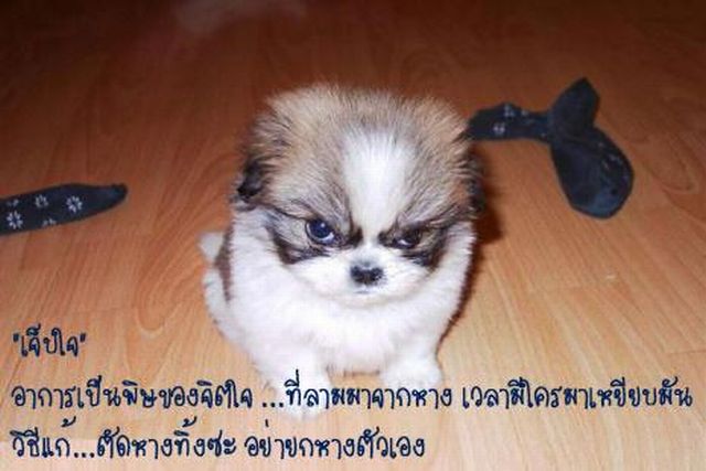 อาการของใจ
