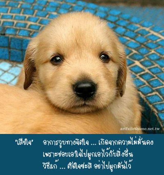 อาการของใจ