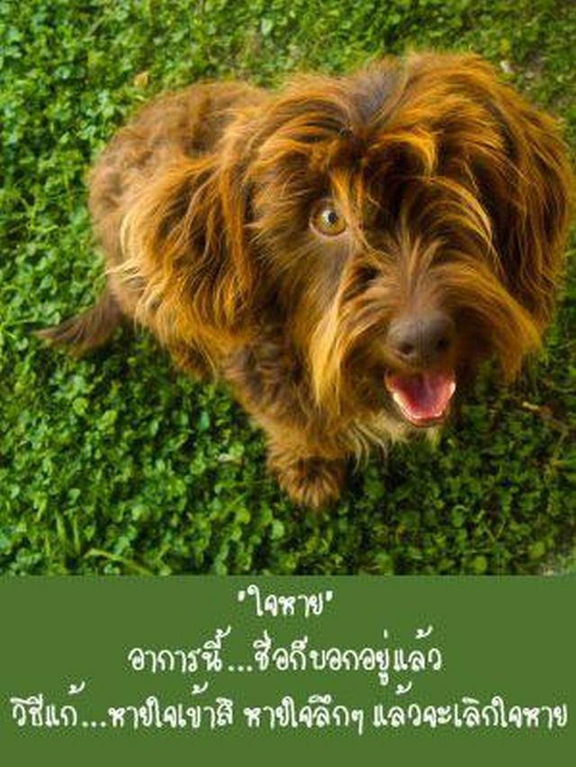 อาการของใจ